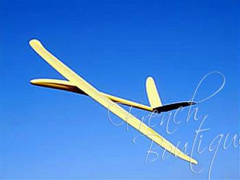 RC Glider